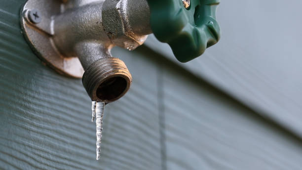 Best Local Plumber Services  in Clermont, FL